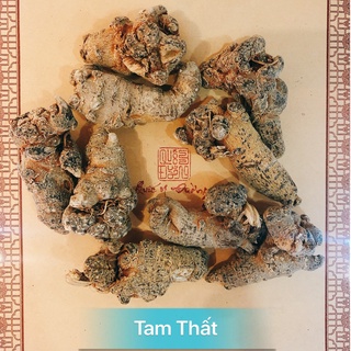  Tam Thất Bắc Vân Nam chuẩn chất lượng