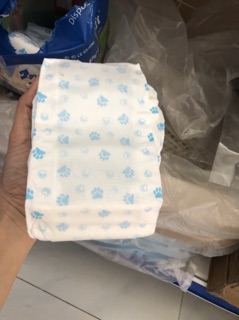 Bỉm chó đực petsoft