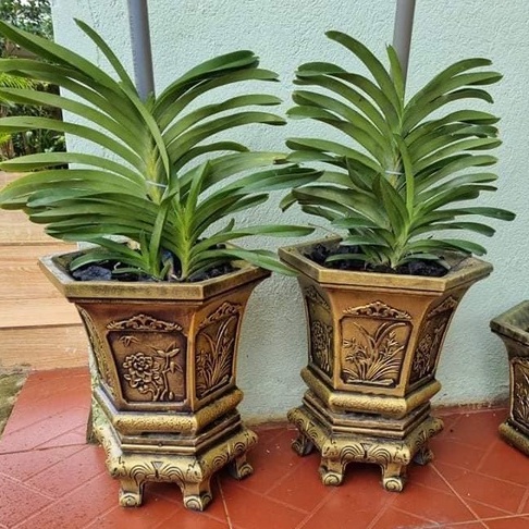 Khuôn đúc chậu cảnh lục giác 31