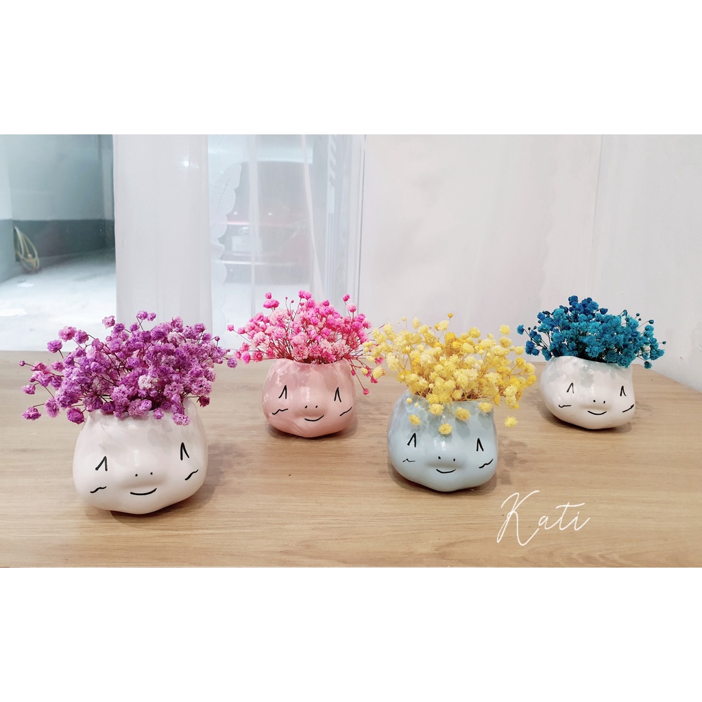 Bình hoa baby khô con mèo so cute, hoa trang trí, bình decor bàn học