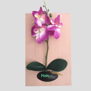 Tranh hoa nổi treo tường