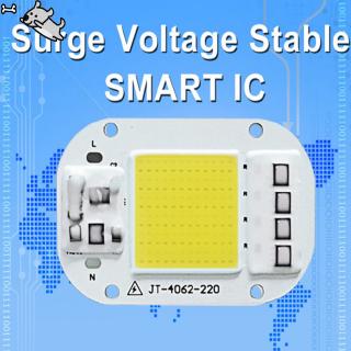AC 220V 20W/30W/50W Free Driver High Pressure LED Chip COB Light Source