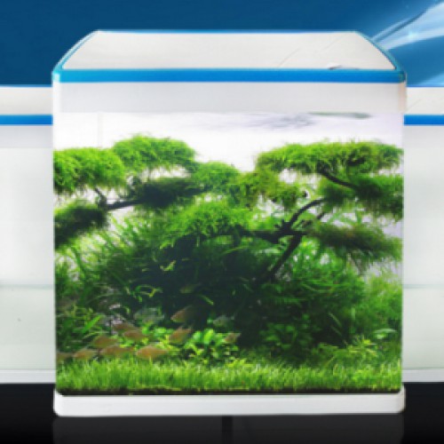 Bể để bàn dài 36cm MJ 360. Bể phong thủy, bể văn phòng dành cho quý khách yêu thích cá thủy sinh