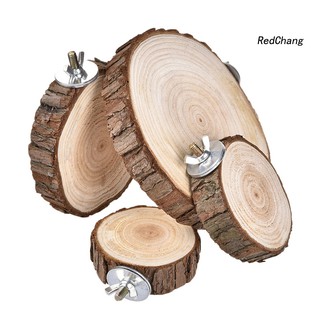 Bệ gỗ vui chơi cho chuột hamster