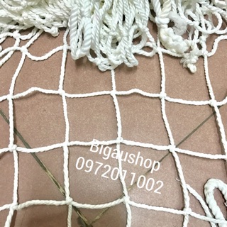 Lưới chắn cầu thang 1mx5m