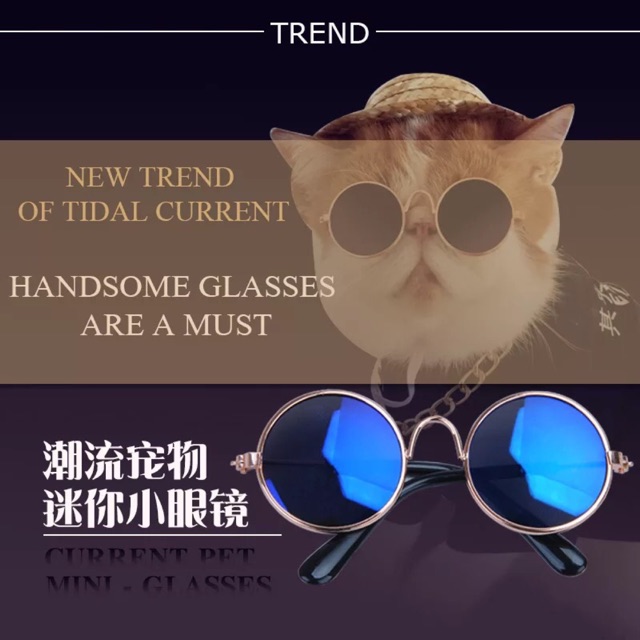 HÀNG SẴN- Kính râm thời trang, vòng cổ vàng siêu chất cho chó mèo ( Ảnh thật )