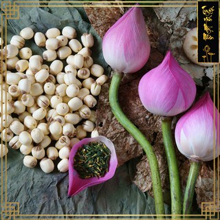 Hạt Sen Khô - Đồng Tháp set 100g