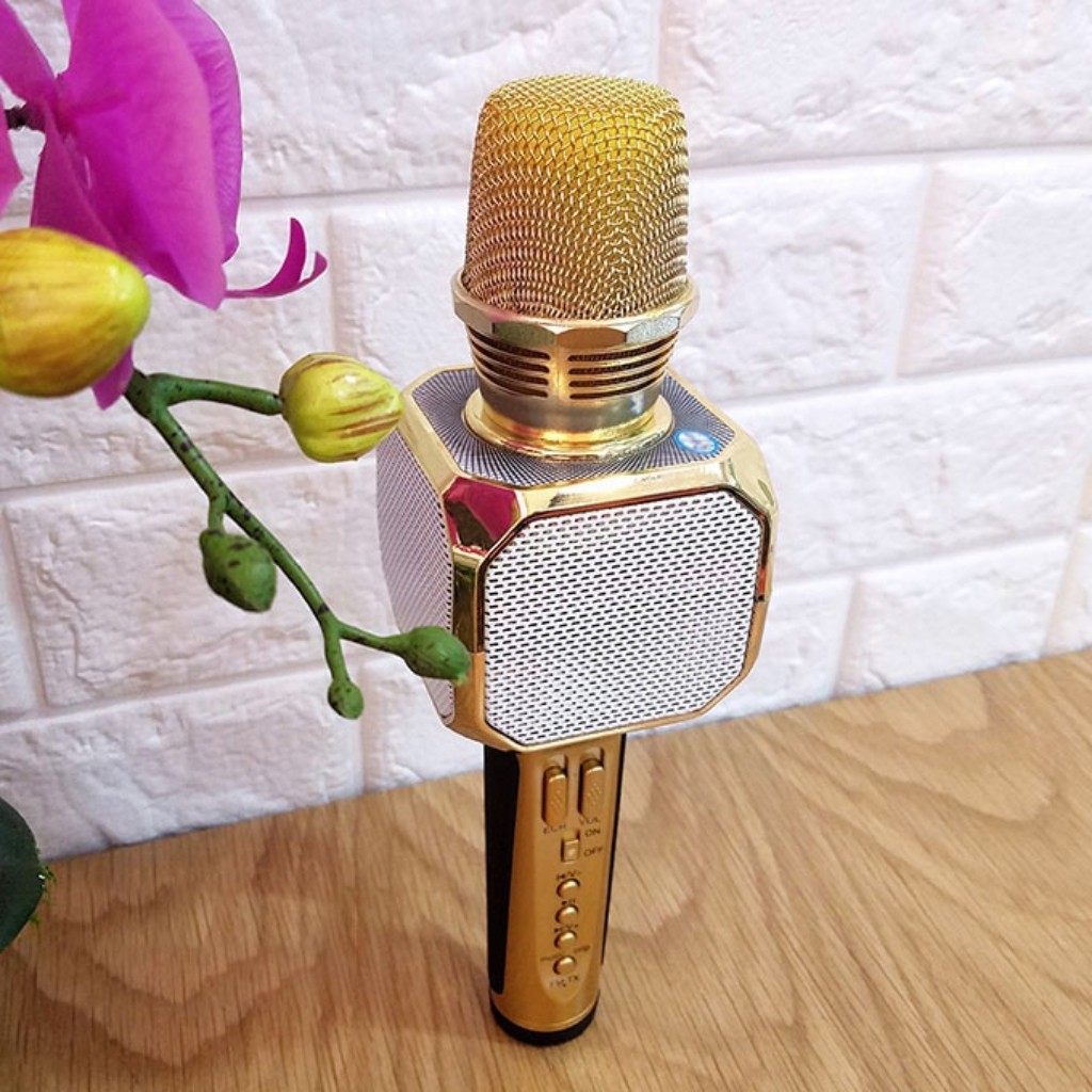 Micro Kèm Loa Bluetooth Karaoke SD-10 (Model 2018 Cực Hay)