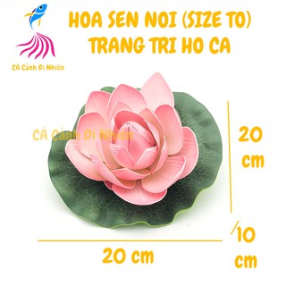Hoa sen thả nổi mặt nước Size To trang trí hồ cá cảnh