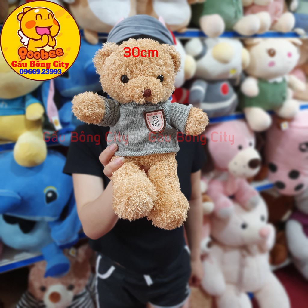 Gấu Bông Teddy Head Tales Thú Nhồi Bông Lông Xù Size Mini Nhỏ Bé 40cm - 32cm