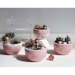 ⚡Freeship Extra⚡ Bộ 4 bát sứ trồng cây Siêu Xinh, Đáng Yêu Phù hợp để trồng sen đá hoặc các cây cảnh mini, cây để bàn.