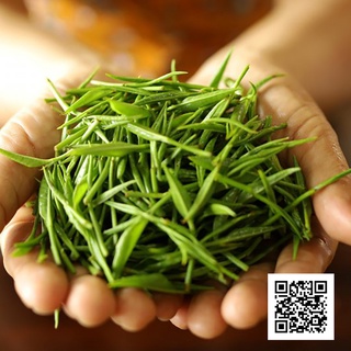 Trà Đinh Tân Cương