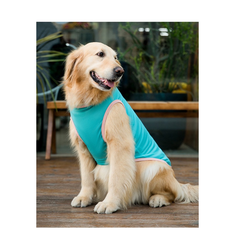 áo ba lỗ giả lưới cho giống chó lớn