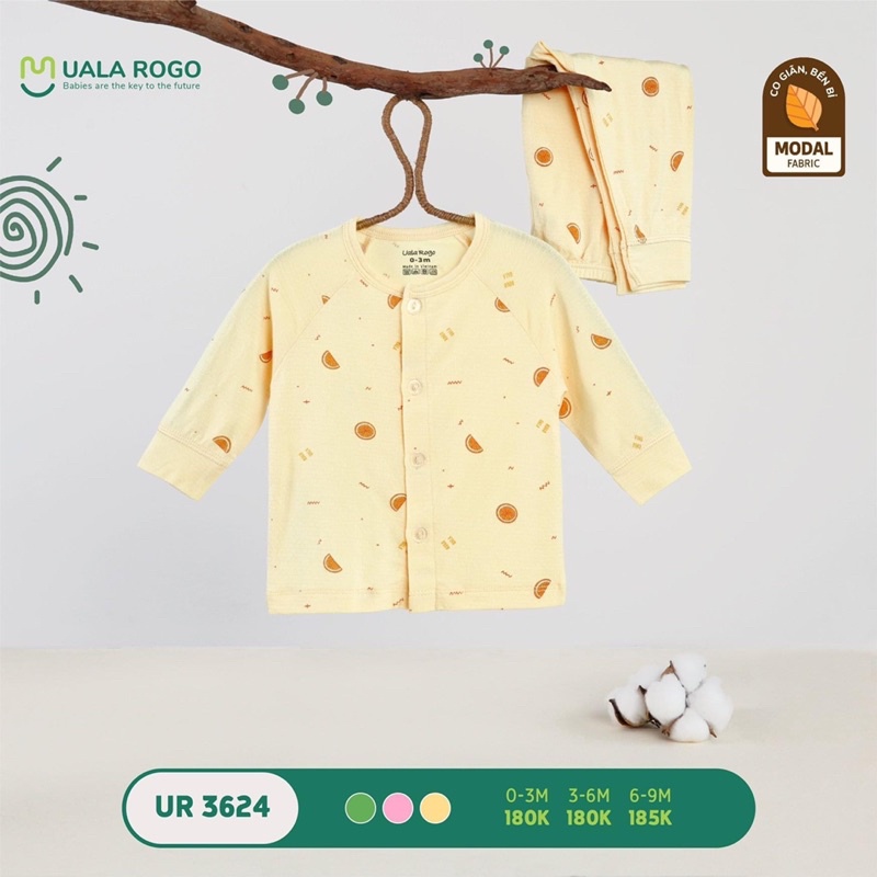 BỘ SS HOẠ TIẾT HOA QUẢ UR 3624