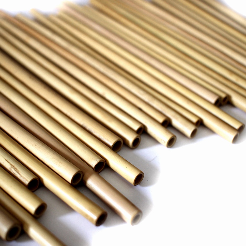 Ống Hút Tre Thiên Nhiên One4One