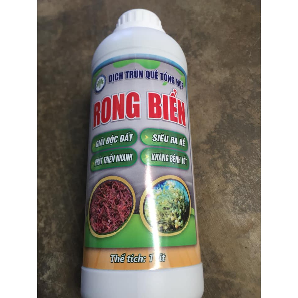 DỊCH TRÙN QUẾ TỔNG HỢP RONG BIỂN