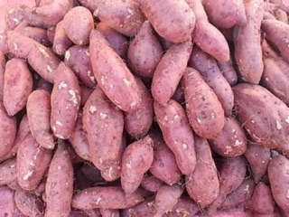 Khoai lang nhật 1kg