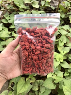 100gr kỉ tử hữu cơ Sỉ sll