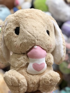 Thỏ cute đáng yêu (ảnh thật)