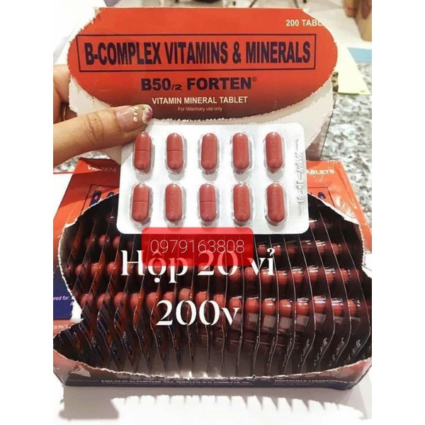 B50/2 FORTEN - T.HUỐC BỔ VITAMIN CHO GÀ - VỈ 10 VIÊN