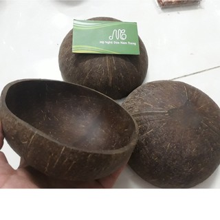 Bát gáo dừa mọc