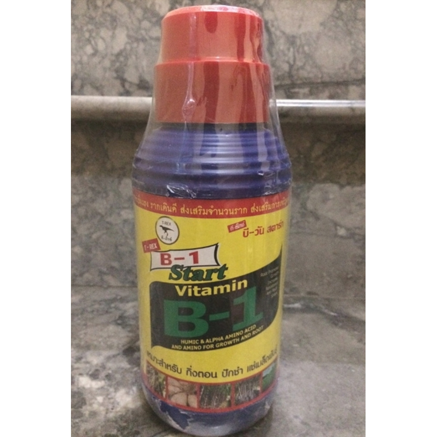 Vitamin B1 Thái Lan chai 1 lít
