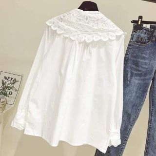 Sơmi cổ sen lớn