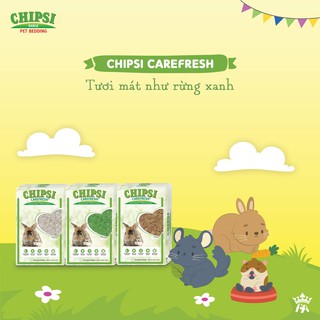 Giấy carefesh lót chuồng 10L dành cho hamster/sóc/nhím/fat tail/gerbil/...
