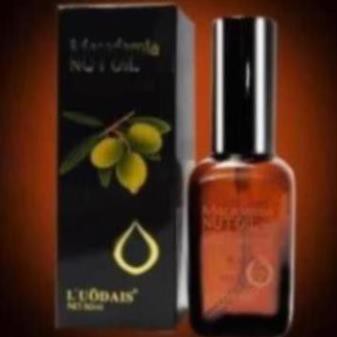 Tinh dầu dưỡng t&oacute;c MACADAMIA NUT OIL For Dry &amp; Undiscined Hair 50ml