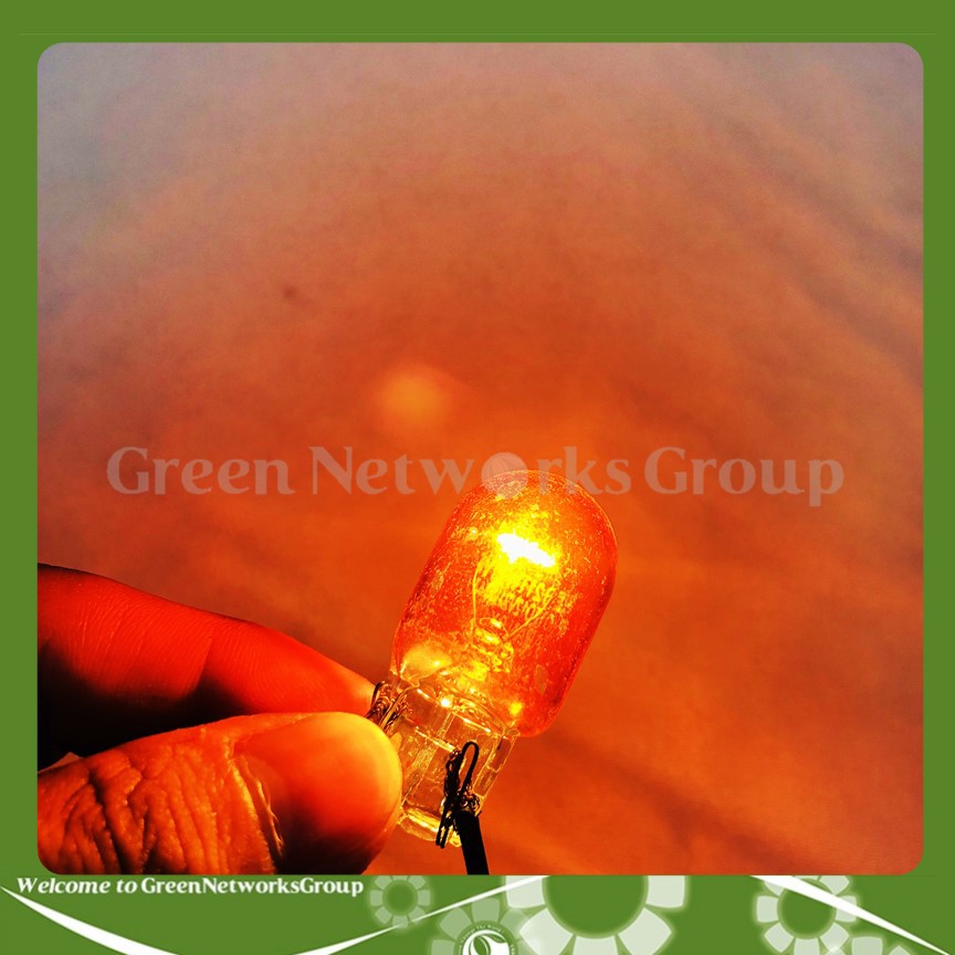 Đèn lùi ô tô chân T20 Halogen cam KOITO 12V 21/5W Greennetworks