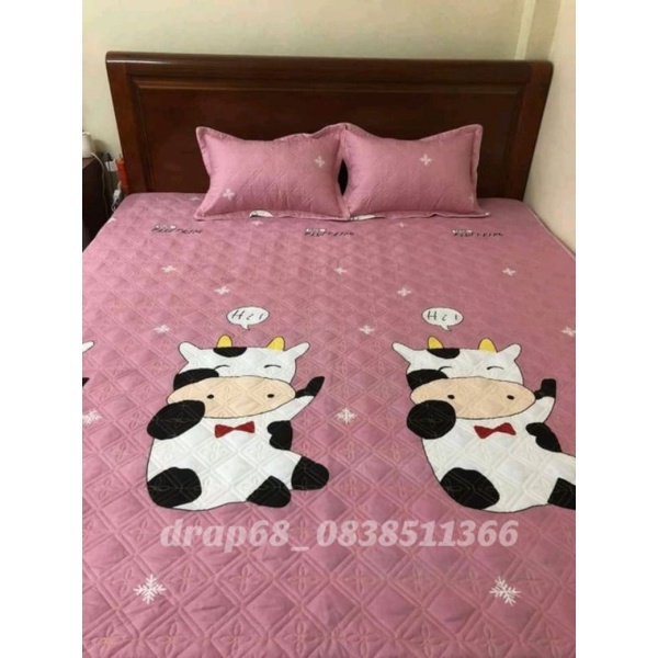 Ga trần bông ,ga chun trần bông ( 1m2) | BigBuy360 - bigbuy360.vn