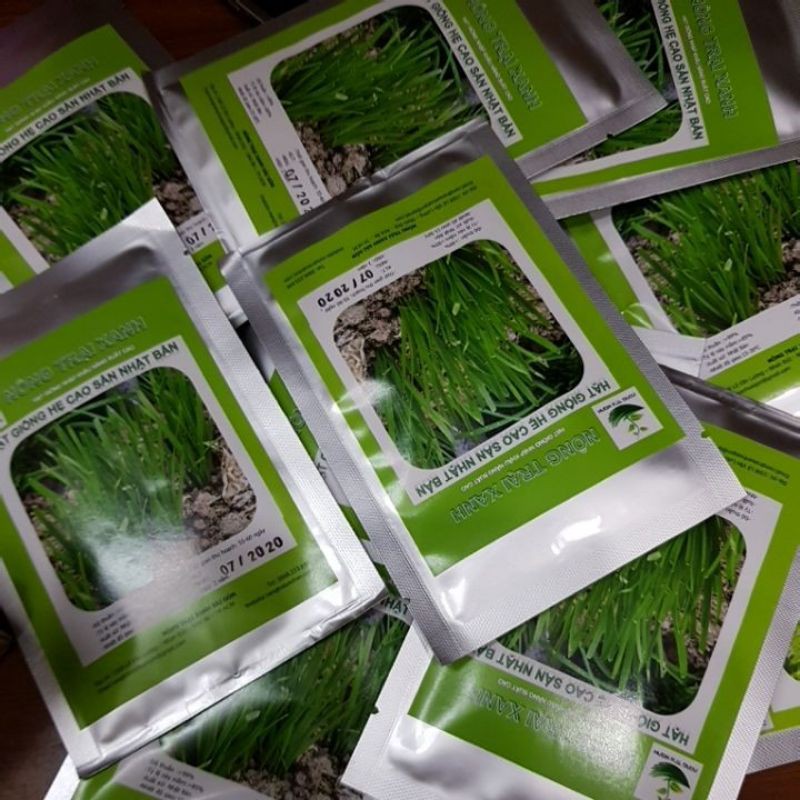 HẠT GIỐNG HẸ CAO SẢN NHẬT BẢN (2,5 GR) DINH DƯỠNG NĂNG XUẤT CAO