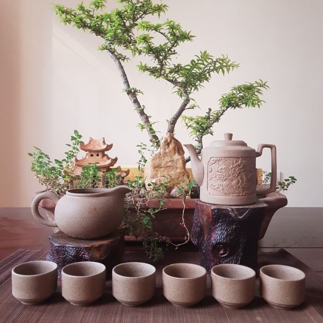 Bộ ấm trà Hồng Sa cao cấp - CỘI NGUỒN BÁCH VIỆT | Shopee Việt Nam