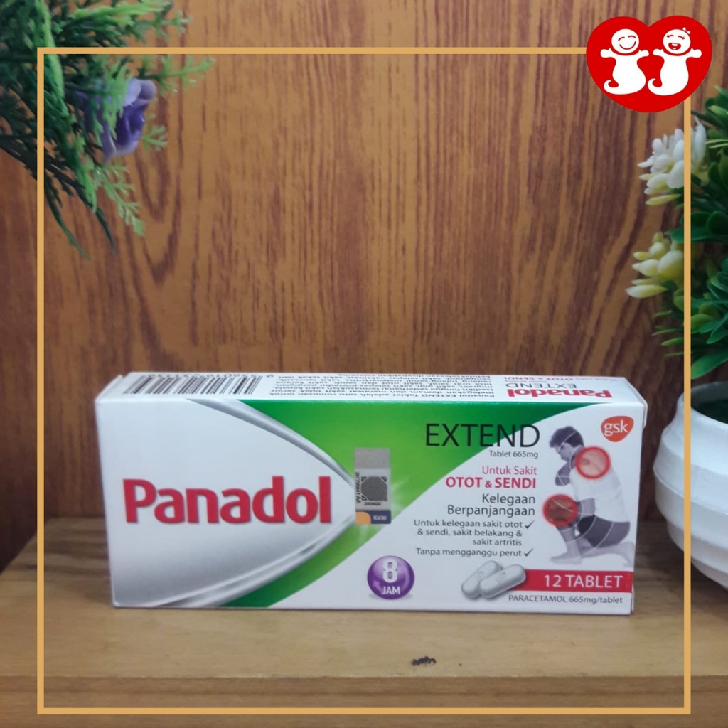Bộ 12 khớp nối dài cơ bắp Panadol