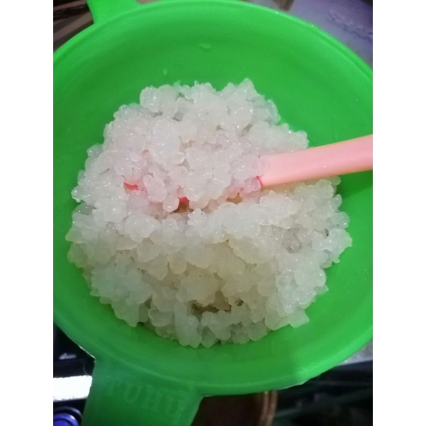 Nấm Kefir dừa, Water Kefir 15g