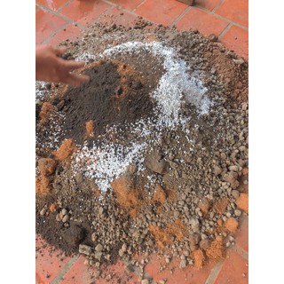 500gr Đất trồng sen đá Sương rồng, Đất trộn sẵn Ảnh thật