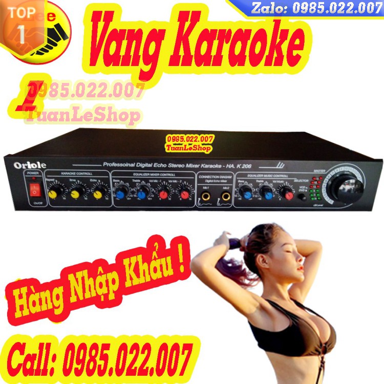 VANG KARAOKE GIA ĐÌNH K206 – VANG HÁT RẤT HAY TRÊN TẦM GIÁ – GIÁ 01 CHIẾC