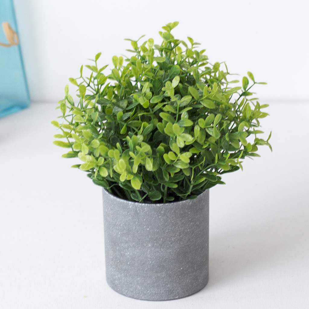 Chậu cây bonsai giả dành cho trang trí sân vườn