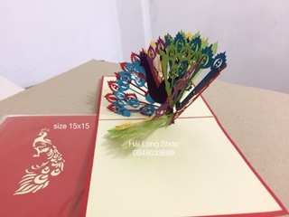 Chim  Công - Bird - Peacock - Thiệp 3D