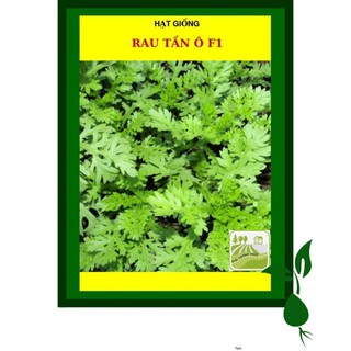 20G - Hạt Giống Rau Tần Ô