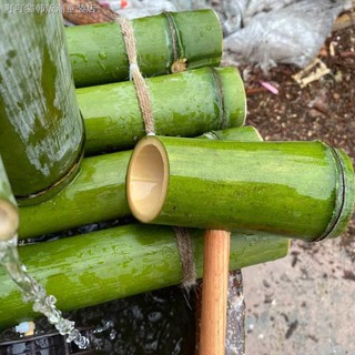 Ống tre trang trí bể cá