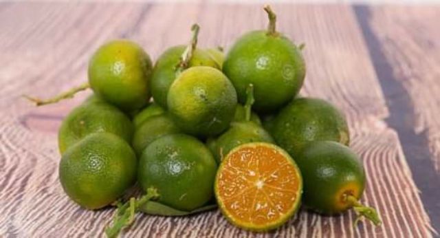 Tắc chua... đang hoa đang trái