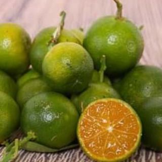 Tắc chua... đang hoa đang trái