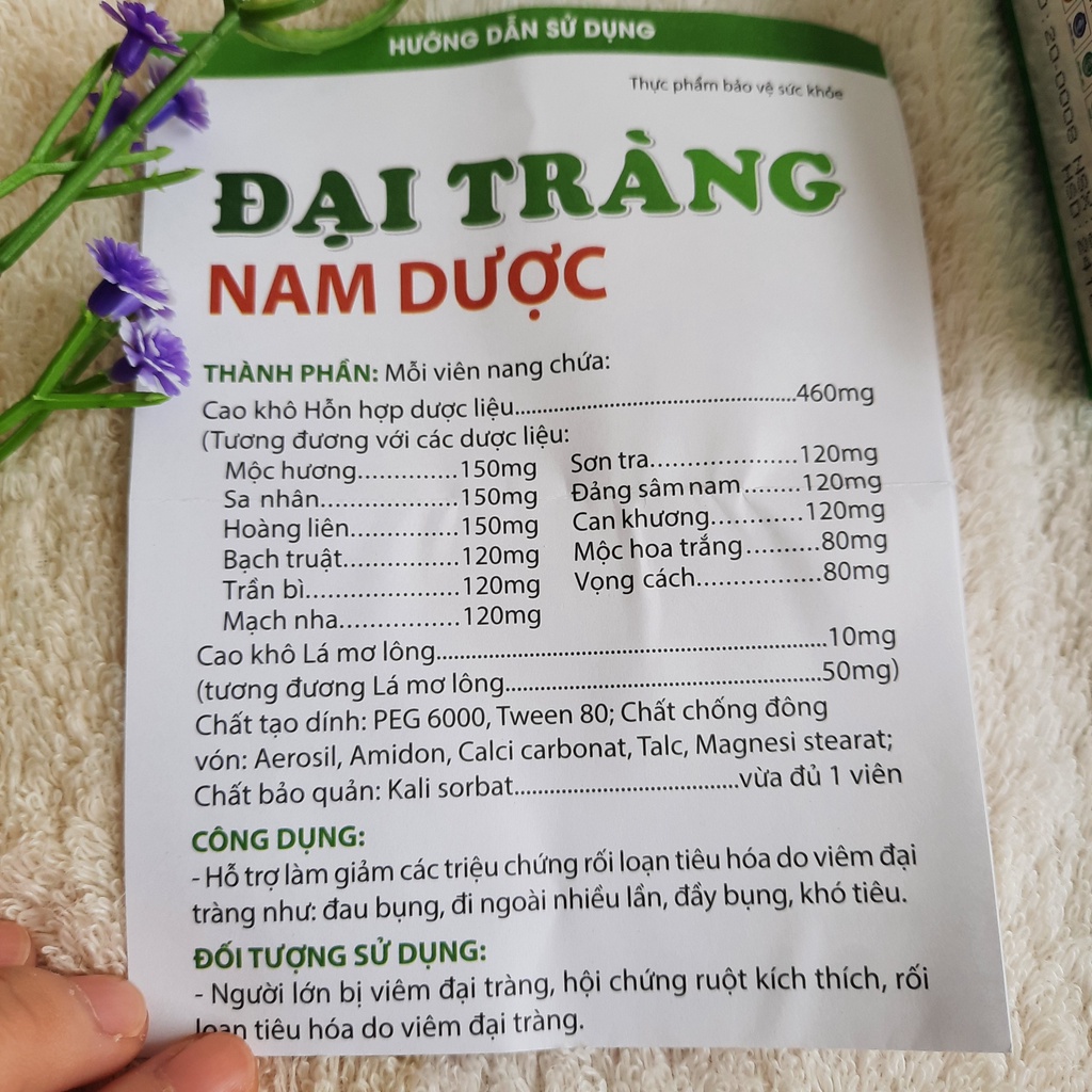 Đại tràng nam dược, giảm viêm đại tràng, táo bón, chướng bụng, đầy hơi