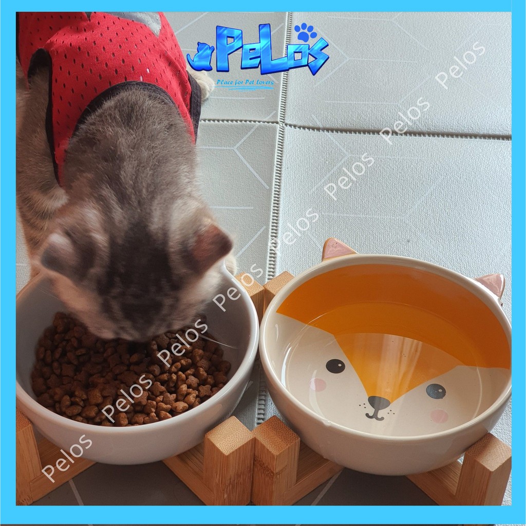 Bát ăn cho chó mèo, bát sứ hoạt hình kèm giá đỡ tre siêu đẹp – PeLos
