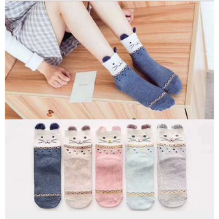 Set 5 đôi tất trẻ em kiểu hàn quốc