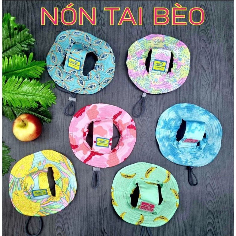 Nón tai bèo cho chó mèo
