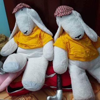 Gấu bông teddy Hàn si giá rẽ 10 con