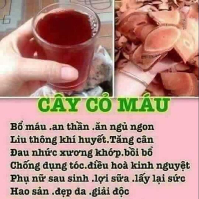 Combo 2 kg cỏ máu tăng cân bổ máu đủ vị thơm ngon