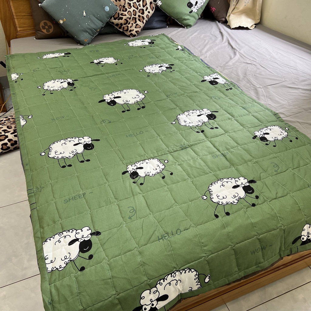 Chăn văn phòng 2 trong 1 chần bông tiện ích đa năng